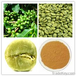 Green Coffee Bean Extract