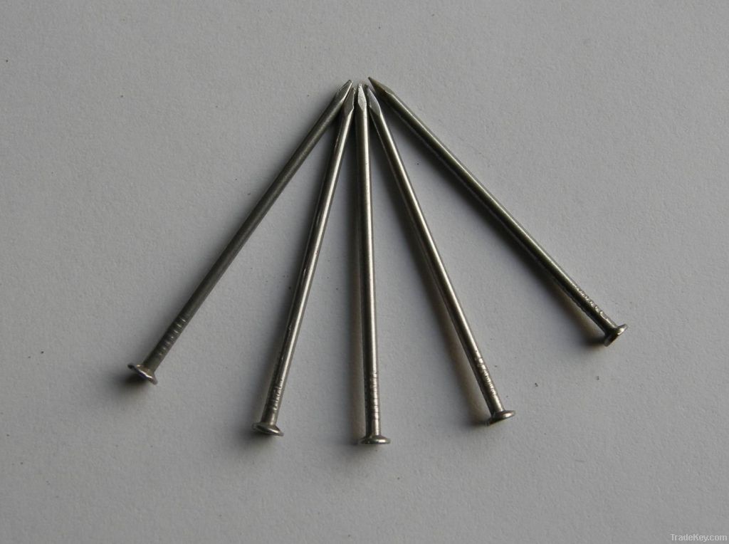 China common nail supplier