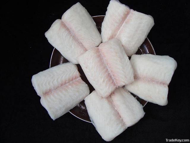 PANGASIUS