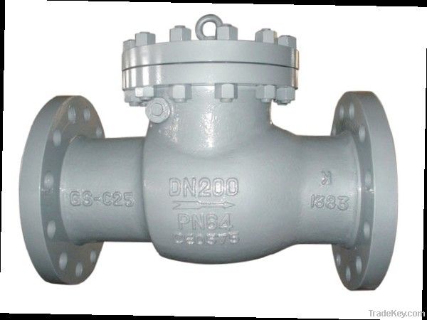 DIN swing check valve