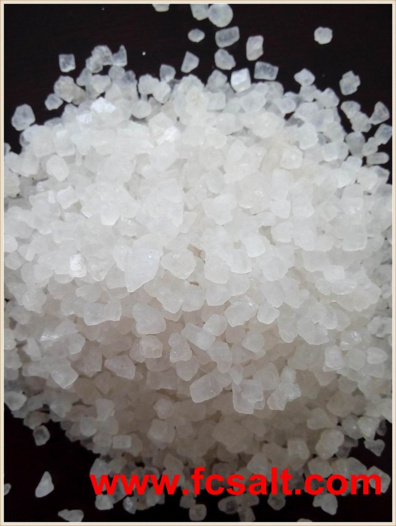 Coarse Sea Salt 