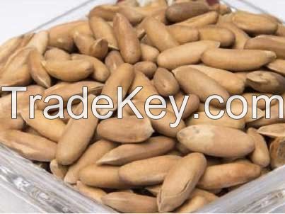 Pine Nuts Chilgoza