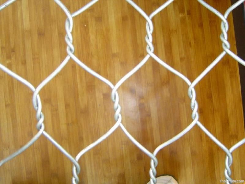 hexagonal wire netting