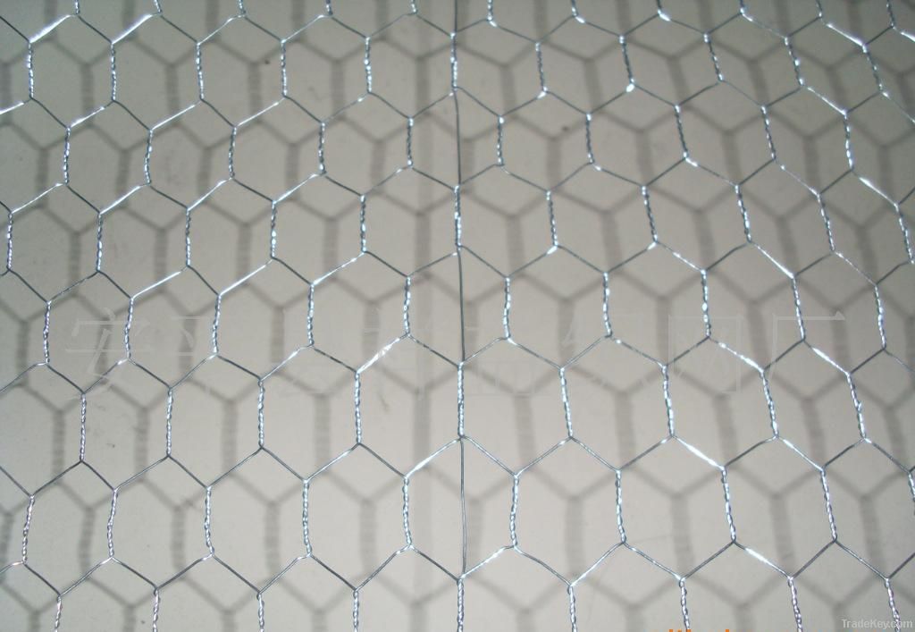 hexagonal wire netting