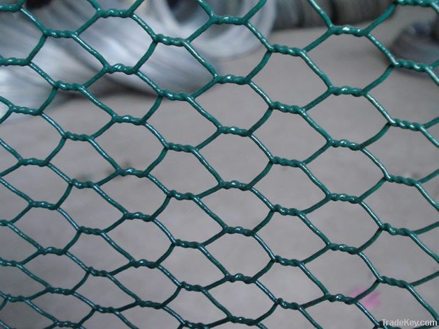 hexagonal wire netting