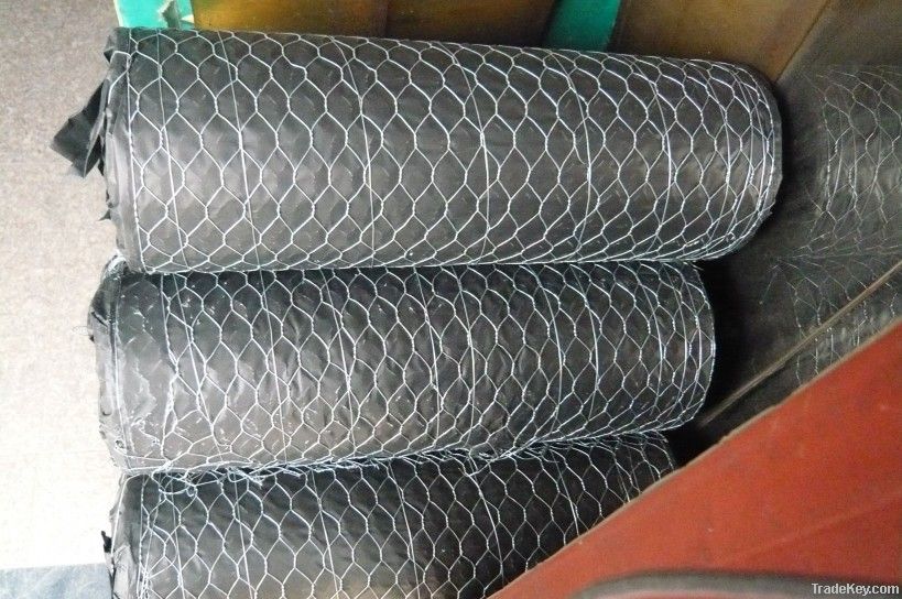 hexagonal wire netting