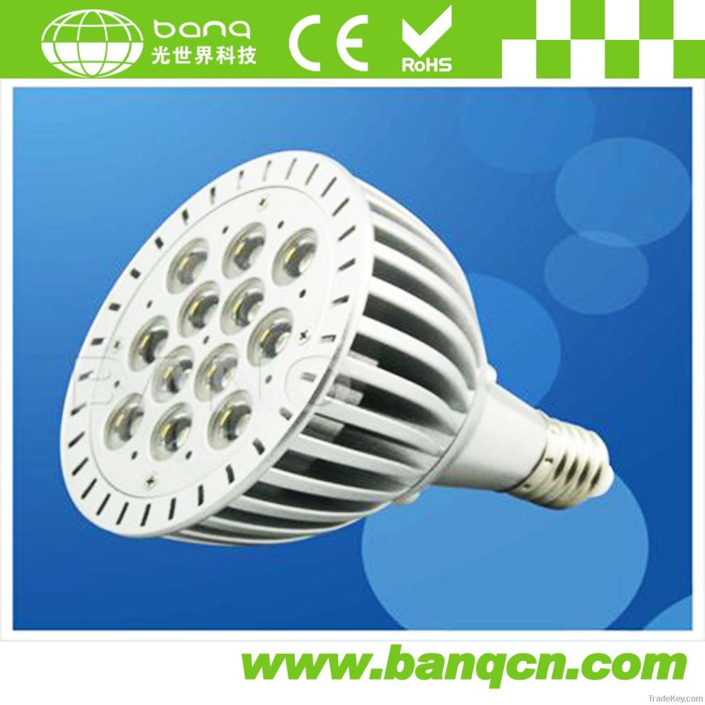 12W High Power PAR38 LED Bulb