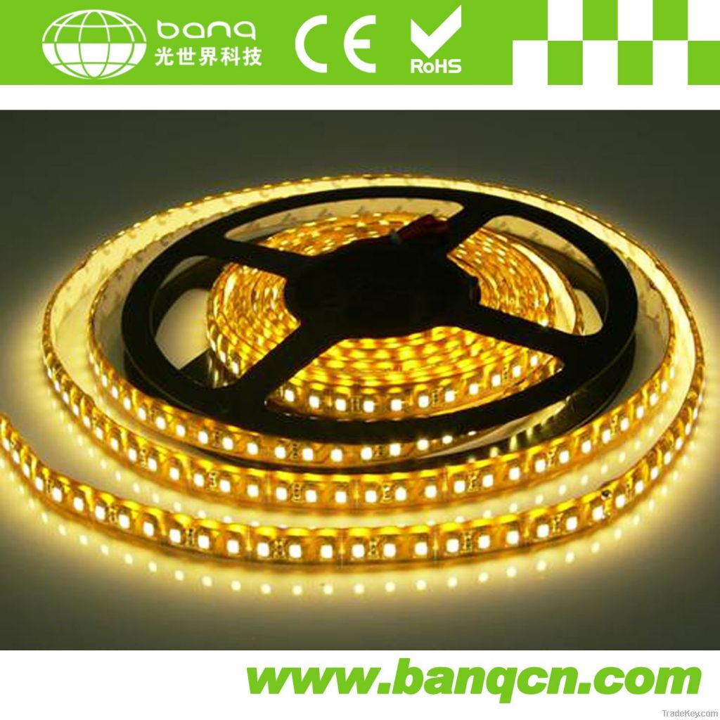 5050 RGB LED Chasing Strip (Waterproof IP65)