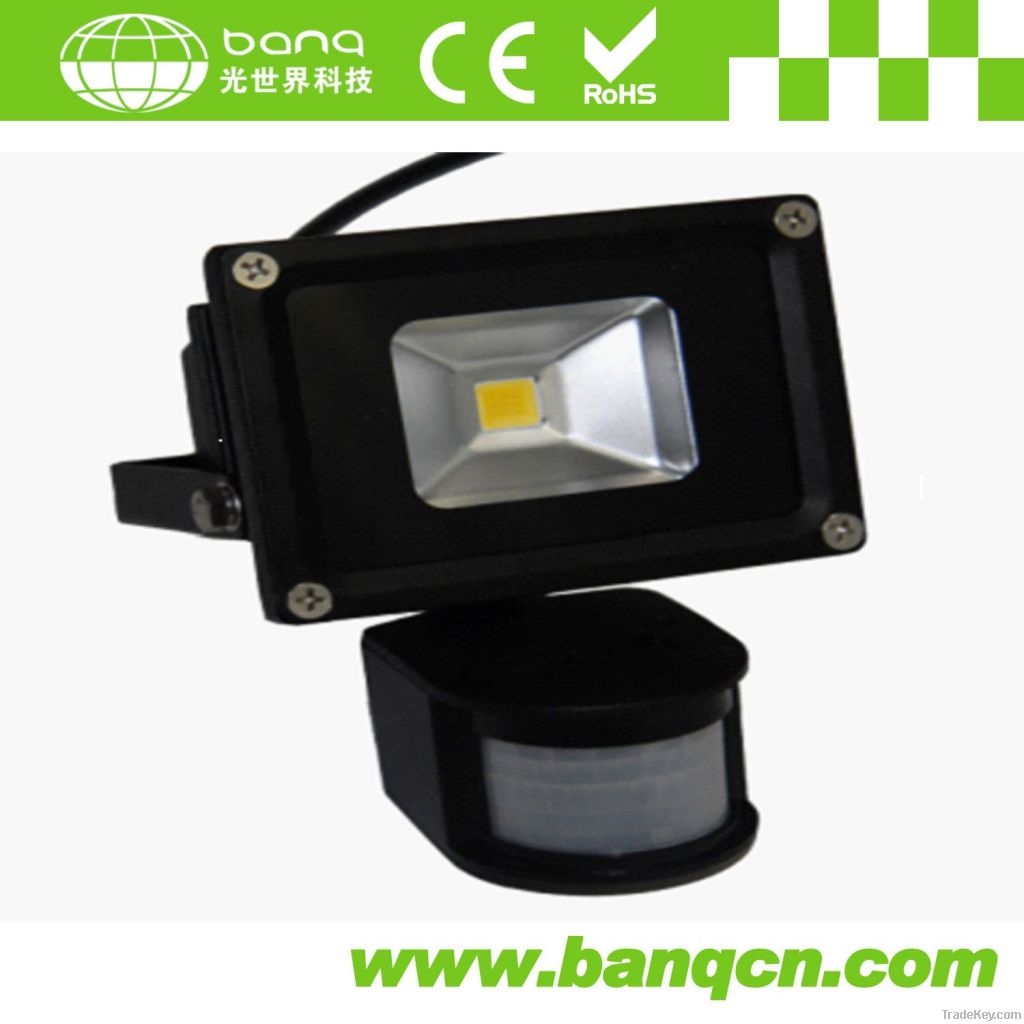 10W High Power LED Floodlight with Sensor