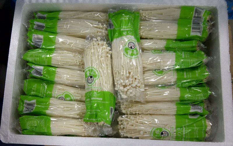 Enoki