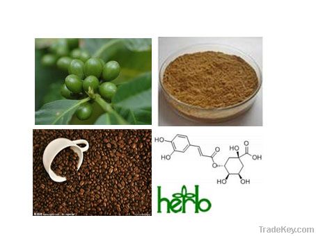 Green Coffee Bean Extract