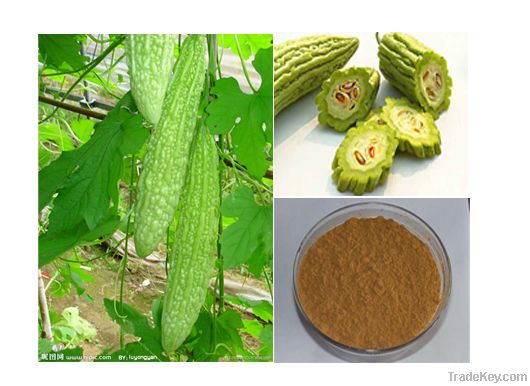 Natural Plant Bitter Melon Extract