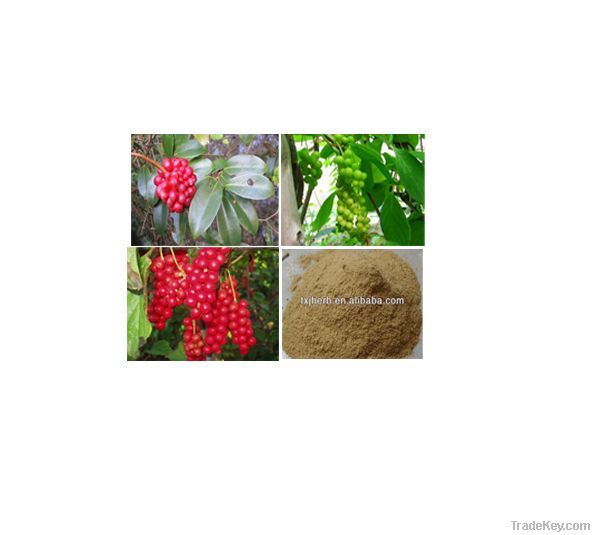 High Quality Schisandra Extract Schisandrins 2% 5% 9%