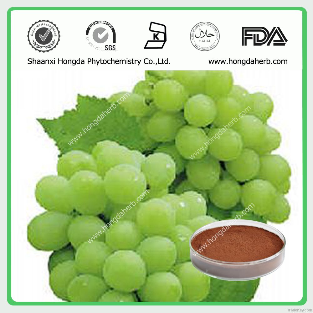 Grape seed extract , OPC 95%