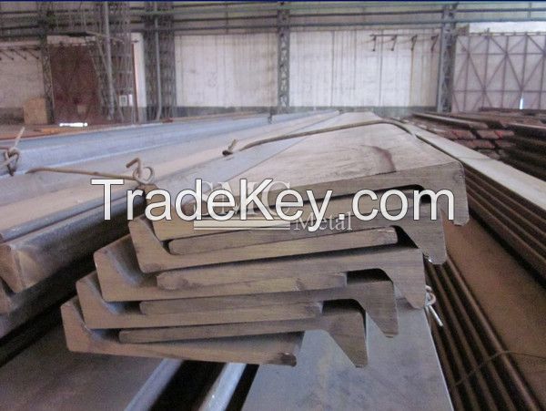 Bulb Flat Steel- Hot Rolled Bulb Bar for Shipbuilding