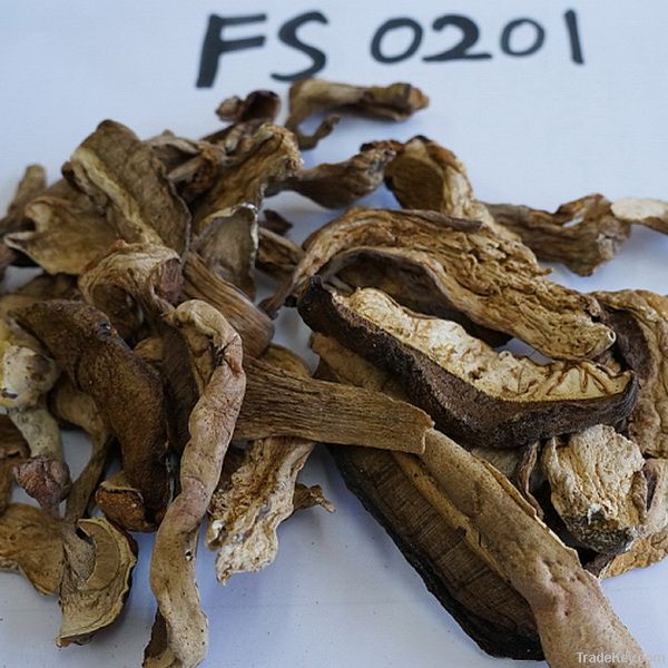 Wild dried boletus on sale