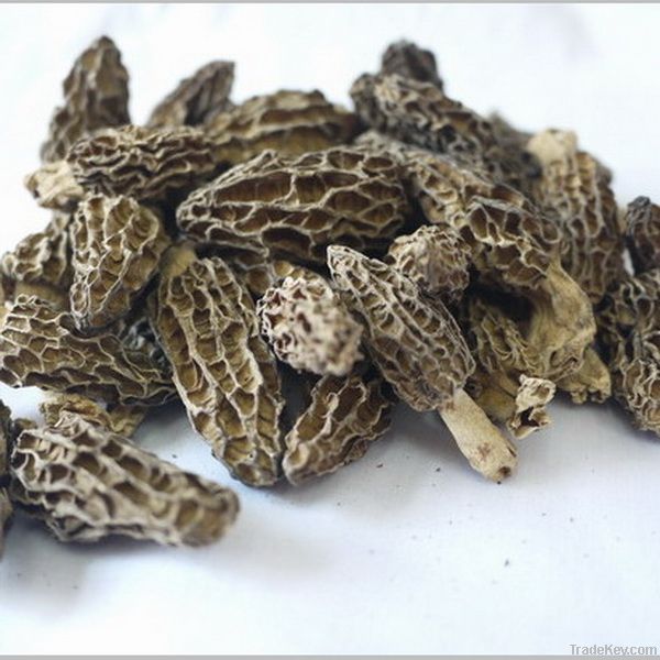 Dried morel mushrooms on sale