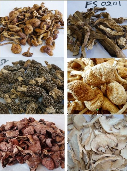 Dried white button mushrooms