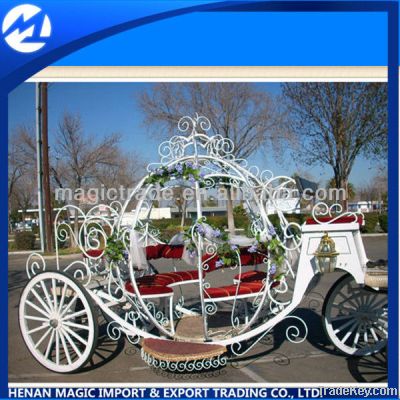 Cinderella's horse drawn carriage