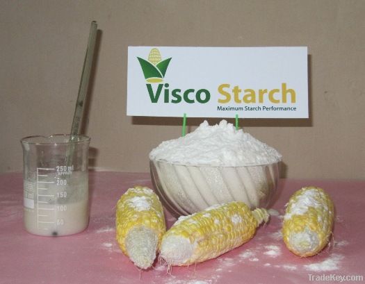 Pregelatinized Starch Maize