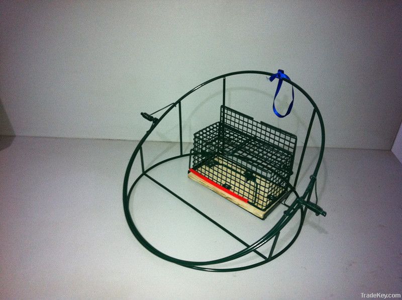 bird trap