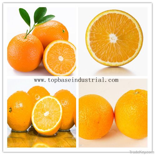 Sweet Fresh Navel Orange