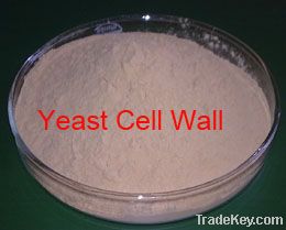 Yeast Cell Wall for animal feed