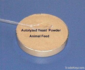 Raw material Pet food - Autolyzed Yeast