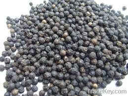 Black Pepper 500g/L-550g/L
