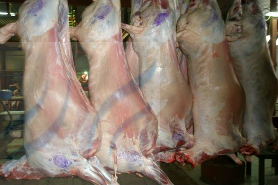 Frozen Mutton, Lamb, Sheep meat