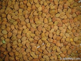 chickpeas buyer,import desi chickpeas,desi chickpeas suppliers,desi chickpeas exporters,desi chickpeas manufacturers,desi chickpeas traders