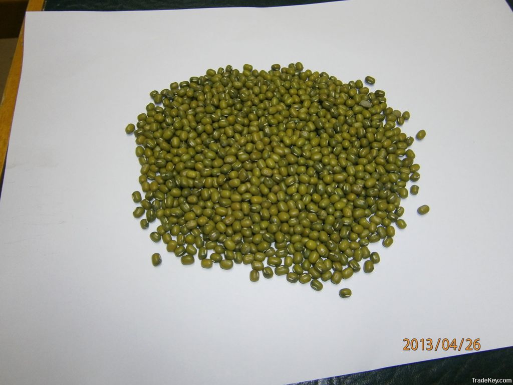 mung beans buyer,import mung beans,mung beans suppliers,mung beans exporters,mung beans manufacturers,mung beans trader