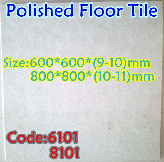 Polished Floor Tile