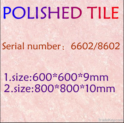 polished floor tile