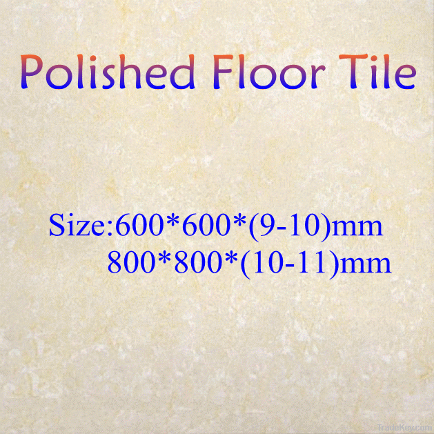 polished floor tile