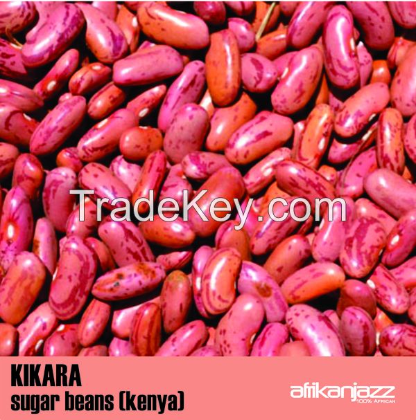 Export all Kinds of Kenyan Kidney Beans High Quality Light Speckled Kidney Bean