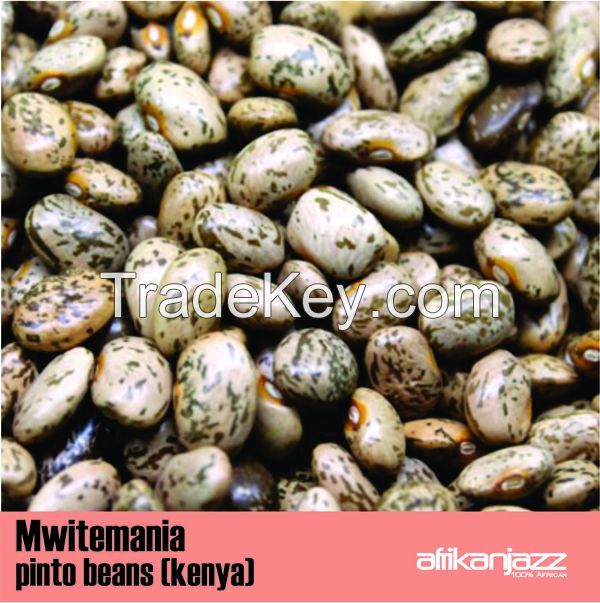 Export all Kinds of Kenyan Kidney Beans High Quality Light Speckled Kidney Bean