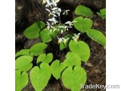 Epimedium Extract