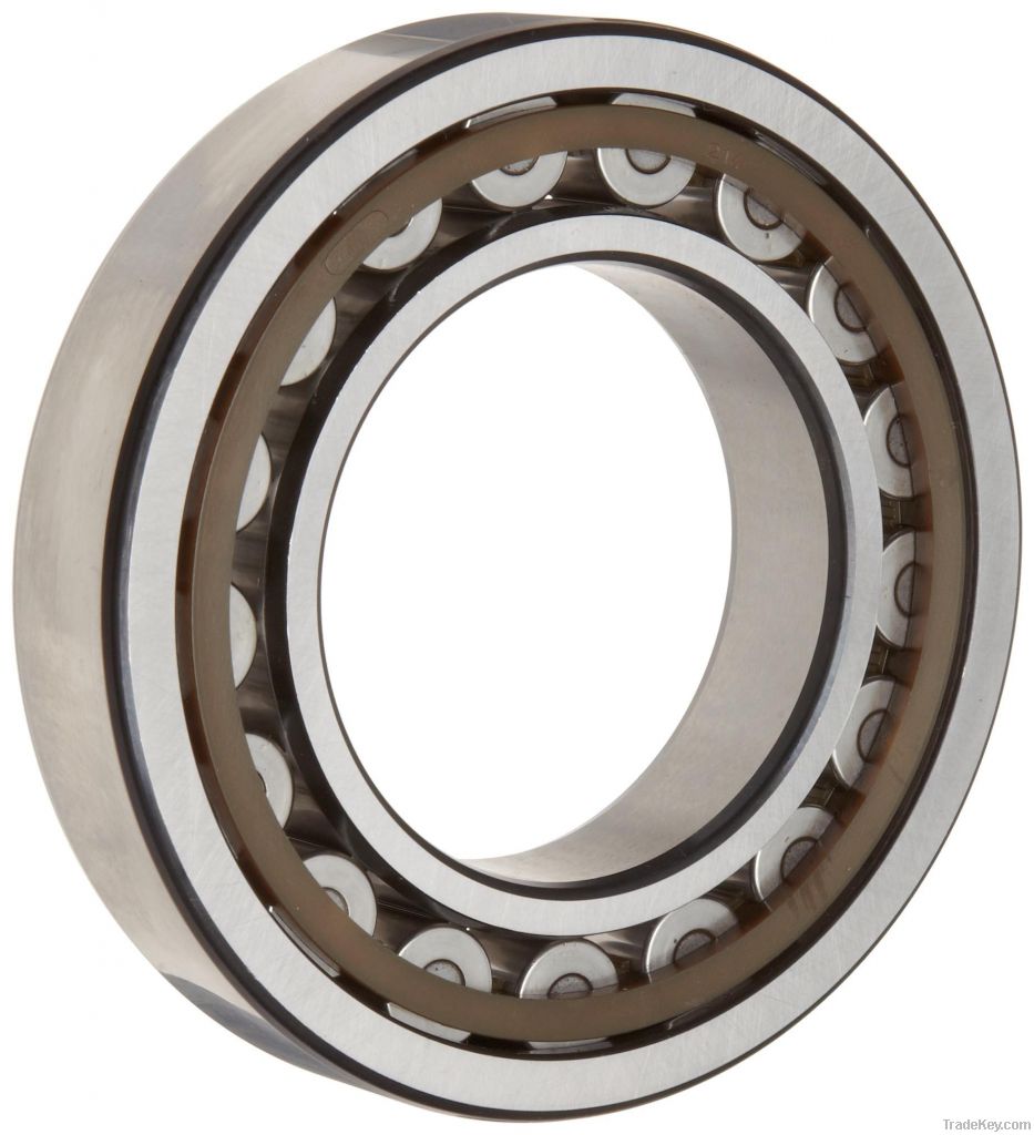 SKF *NU310ECP  single-row Cylindrical Roller Bearing