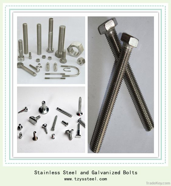 304 stainless steel fastener bolt