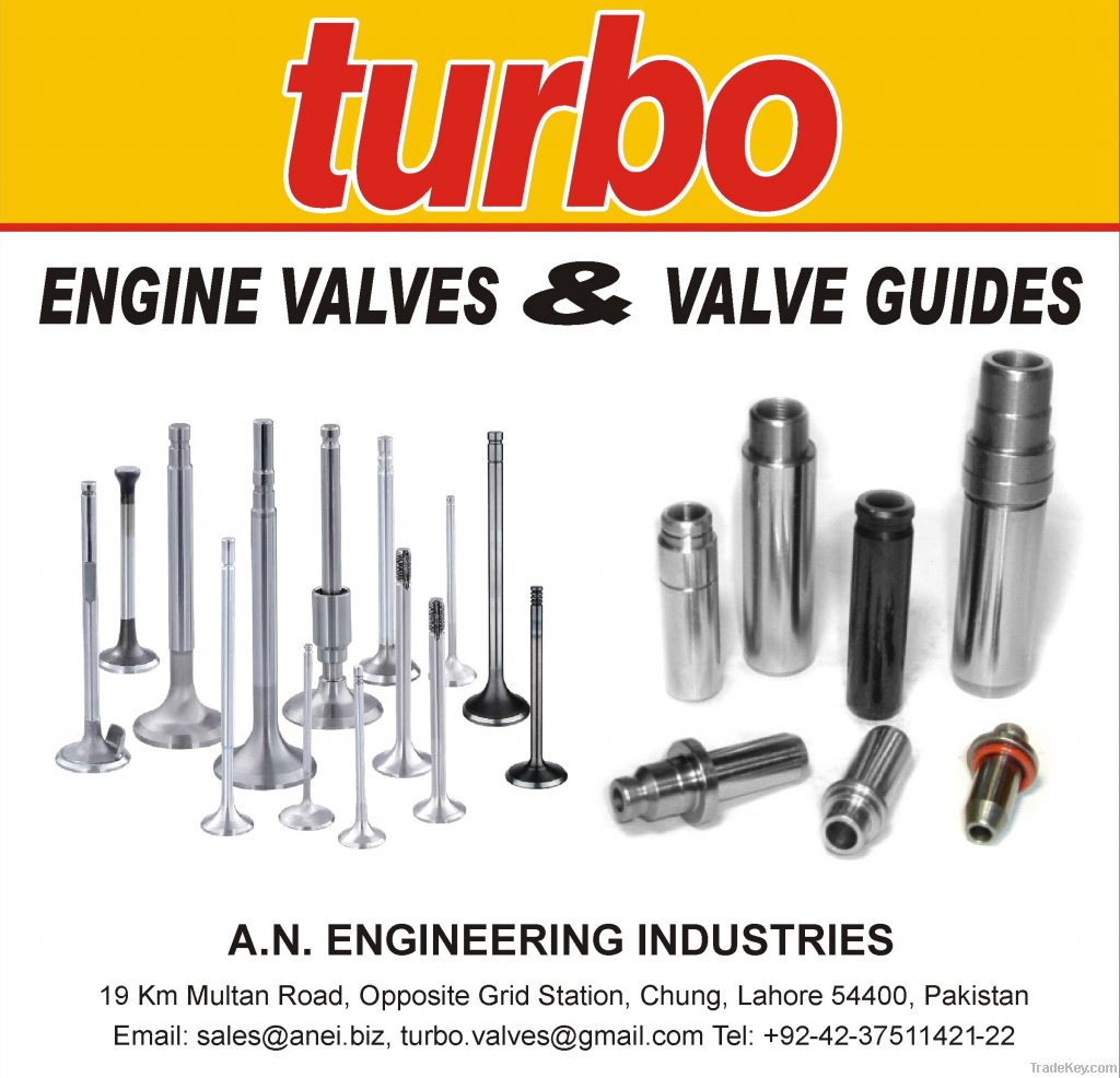 Engine Valves & Guides