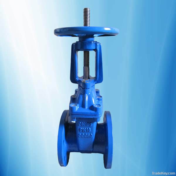 rising stem resilient seated gate valve