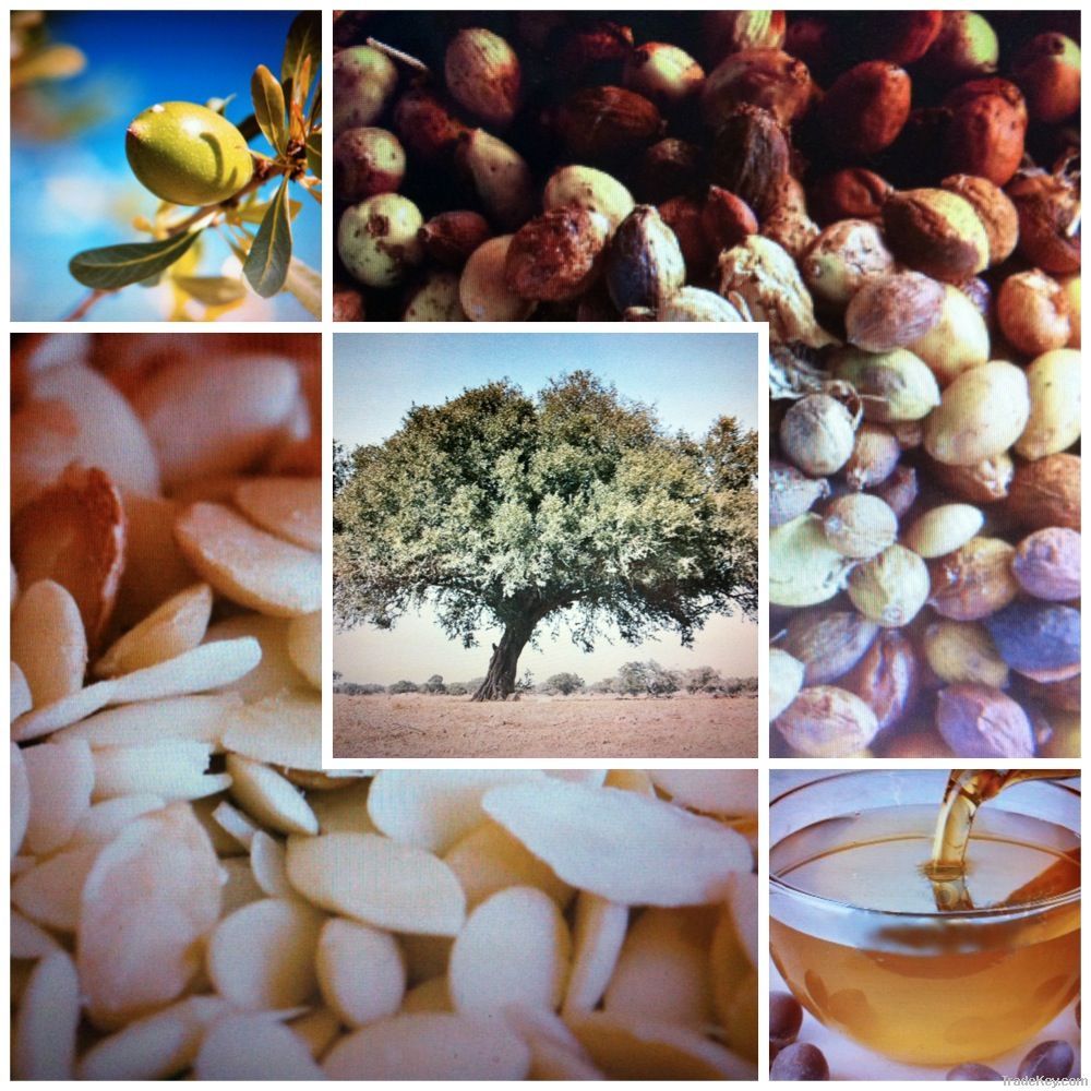 ARGAN &Atilde;&Acirc;&laquo; Argania Spinosa &Atilde;&Acirc;&laquo; LIQUID GOLD