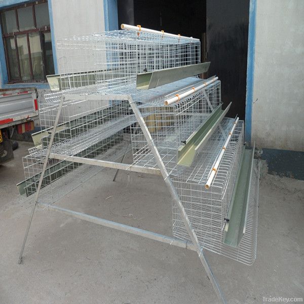 chicken cage