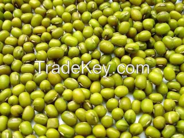 Green Mung Beans