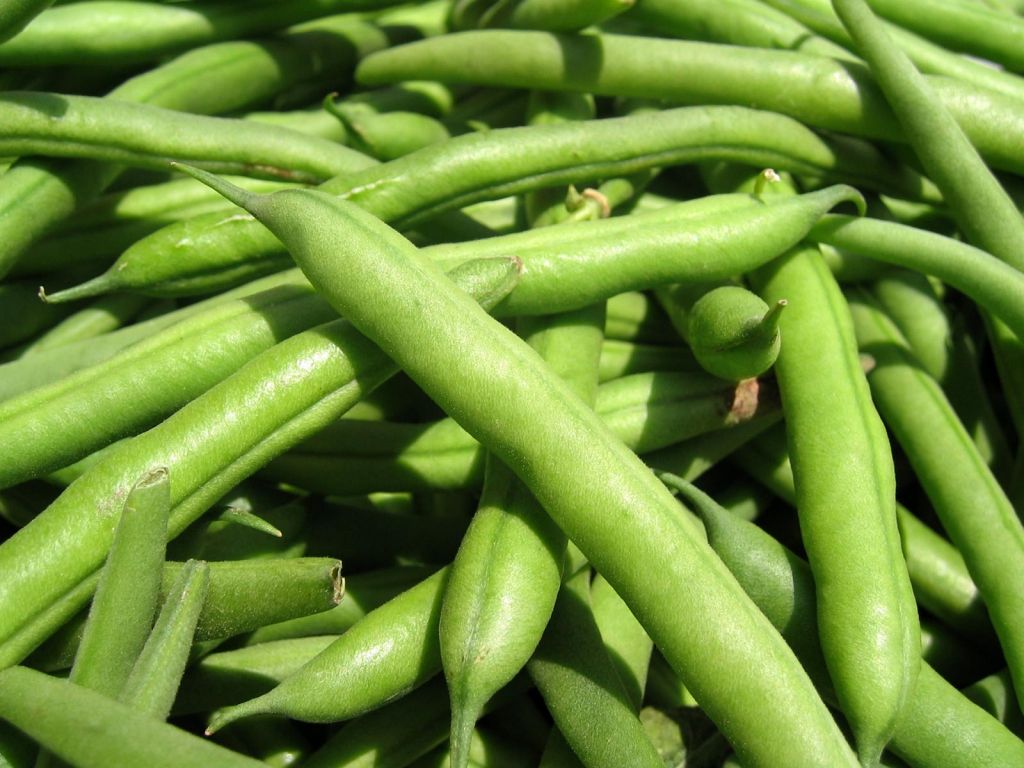 Egyptian Fresh Grean Beans