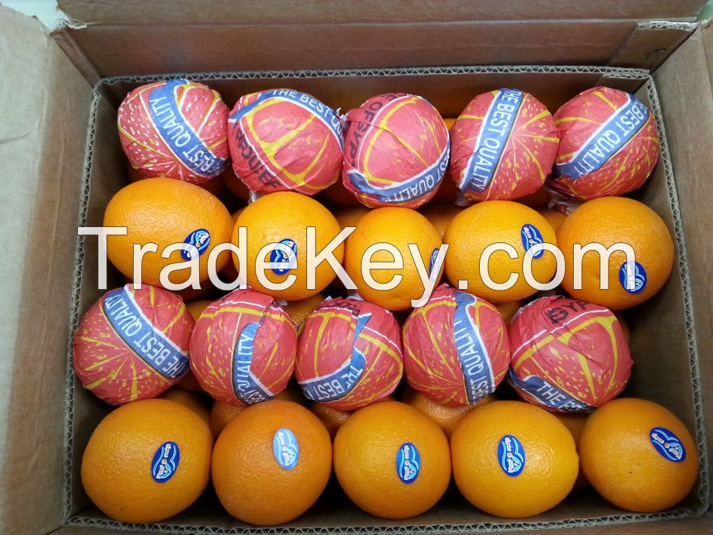 Egyptian Fresh Navel Orange