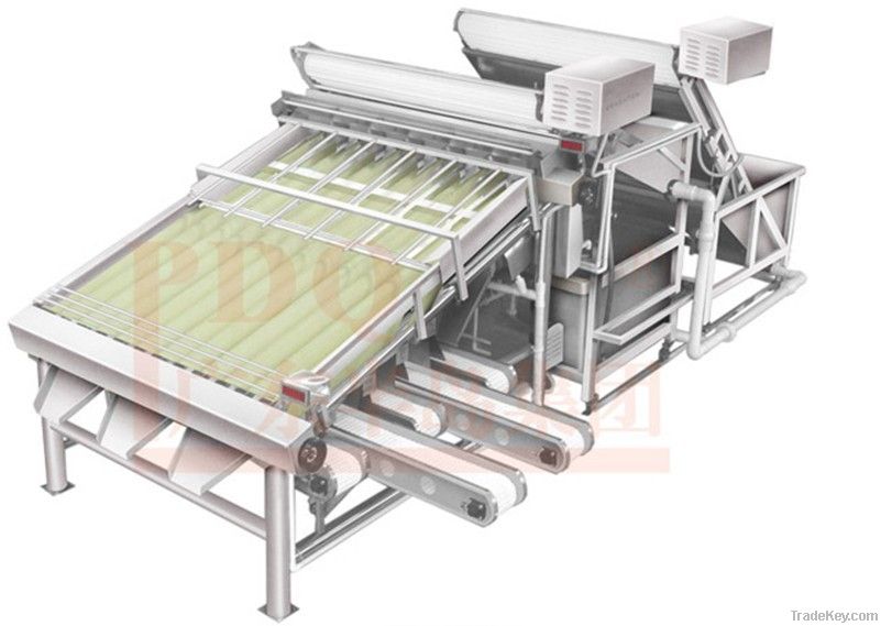 Shrimp Grading Machine