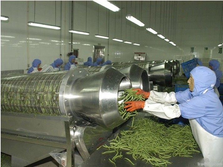 Green Bean Heading Cutting Machine