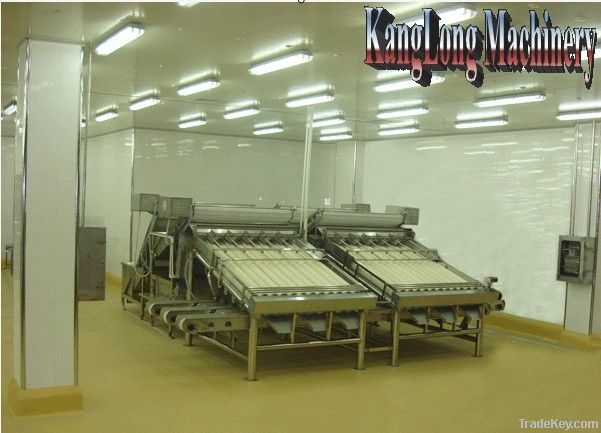 Shrimp Sorting Machine